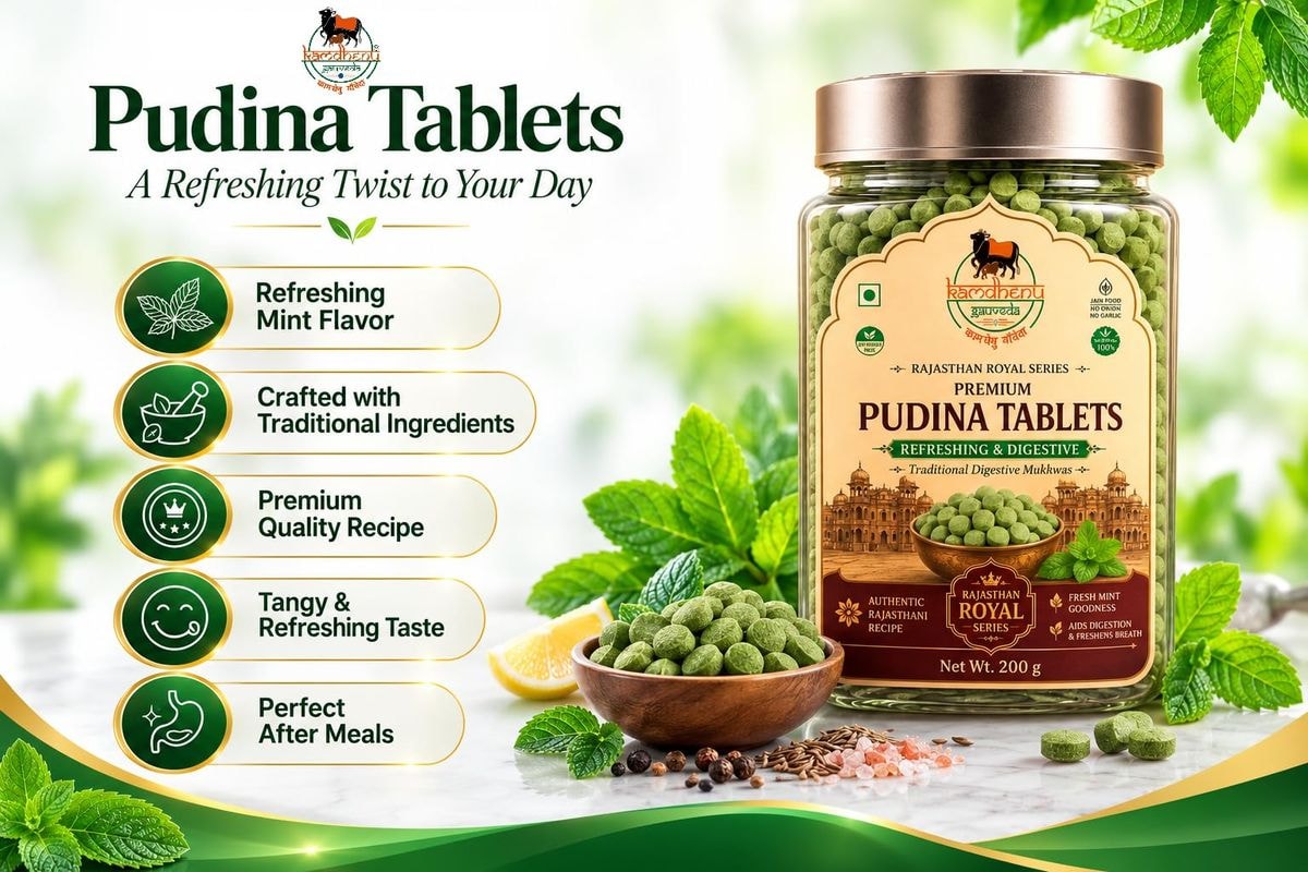Pudina Pachak Tablets – Rajasthan Royal Series (photo 3)