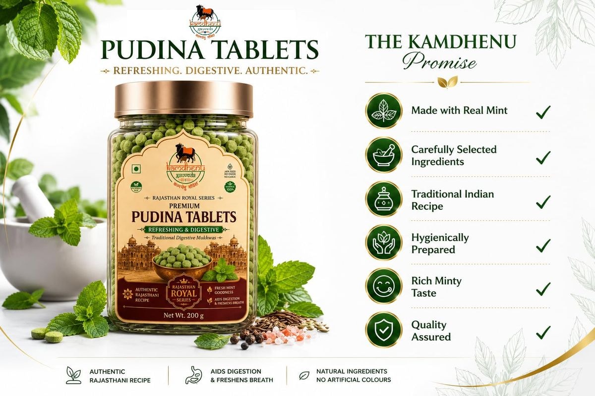 Pudina Pachak Tablets – Rajasthan Royal Series (photo 4)