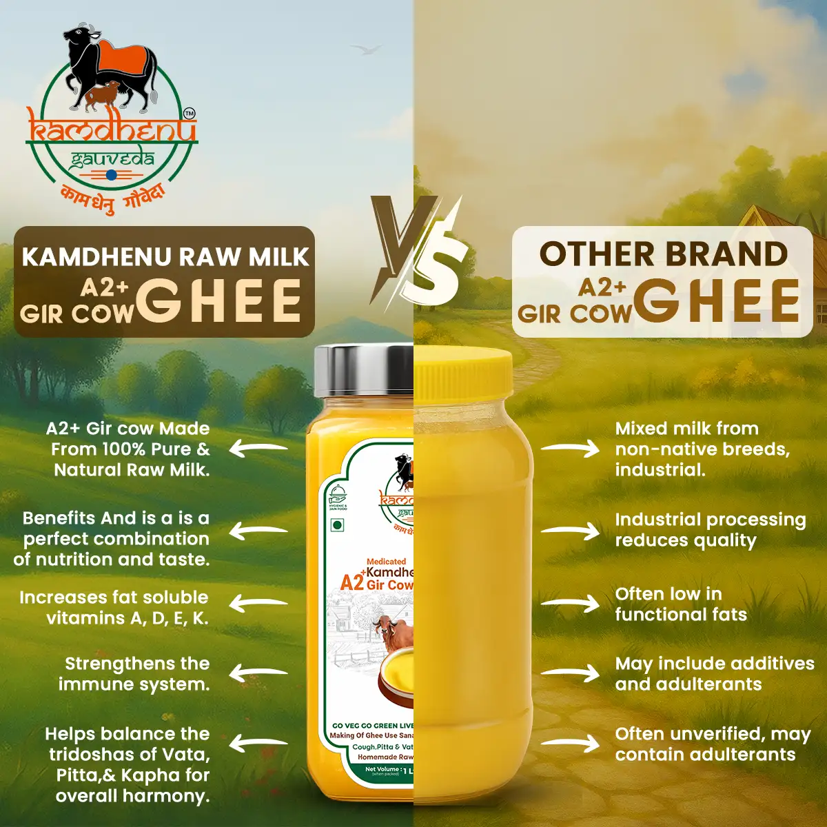 A2 kamdhenu gir ghee vs other brand ghee