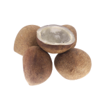 Dried Coconut (Nariyal Copra)